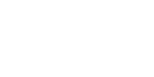 brandeis university